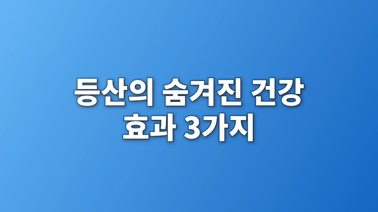 등산의 숨겨진 건강 효과 3가지